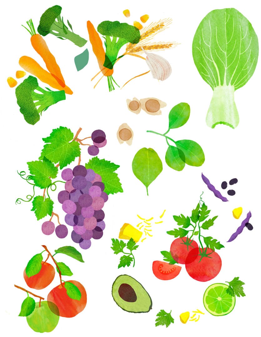 Colorful assortment of fresh fruits and vegetables.