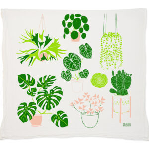 Illustration of various green houseplants on a white background.