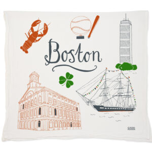 Decorative Boston-themed pillow with iconic landmarks and symbols.