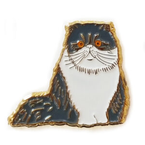 A cute, fluffy cat with big eyes and a bushy tail.