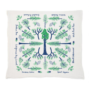 A symmetrical botanical illustration with labeled branches and roots on a white background.