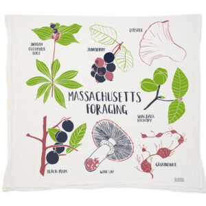 Illustrated Massachusetts berries with names on a cloth.