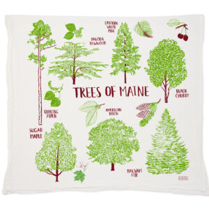 Illustration of various Maine tree types with labels.