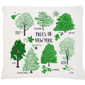 Illustrated pillow with various New York tree species in green.
