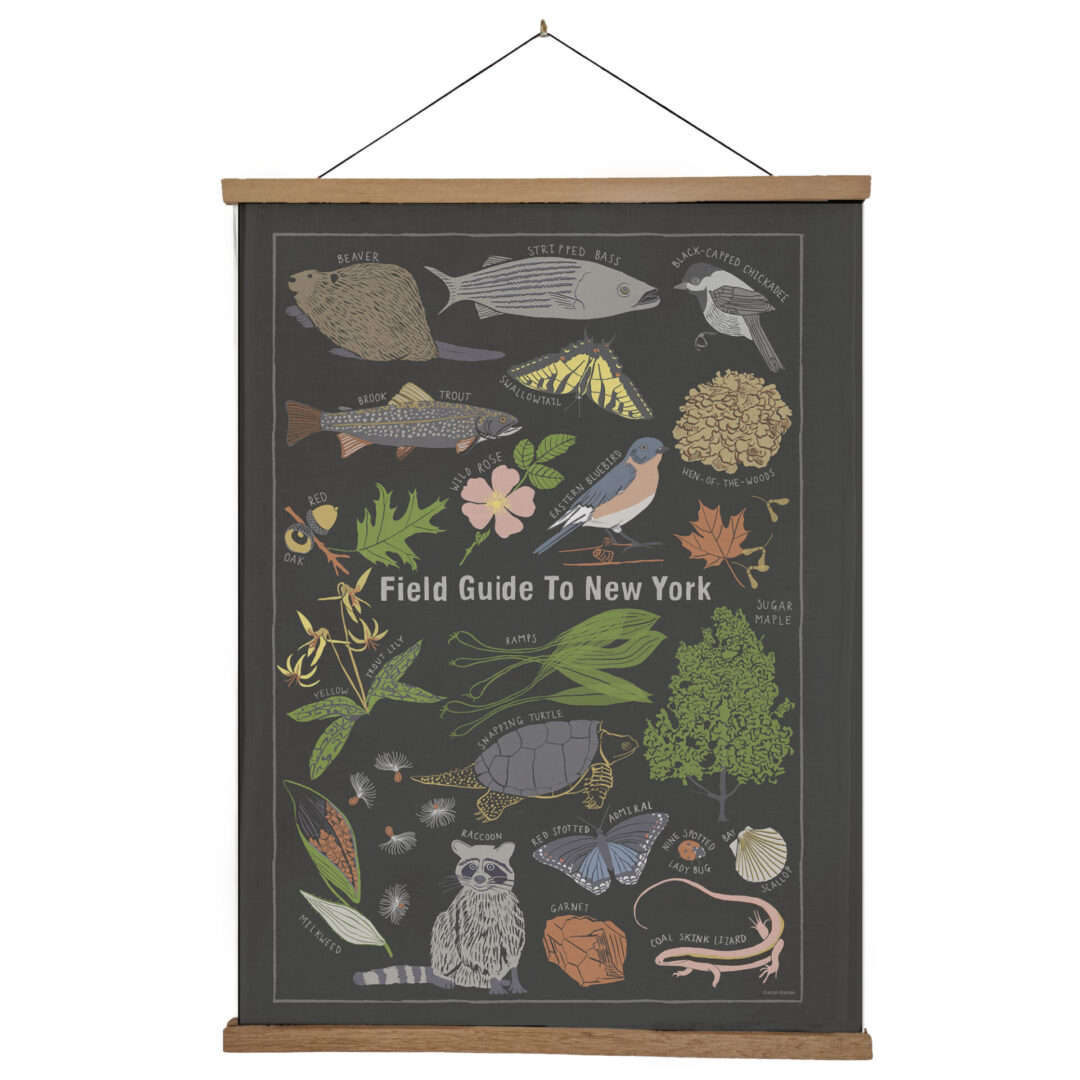 Educational poster illustrating various pond life species with detailed drawings.