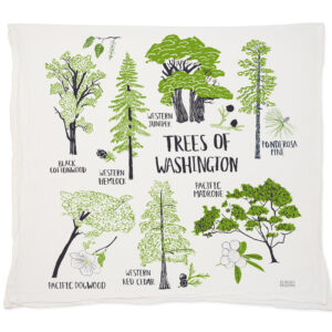 Illustration of various tree species native to Washington state.