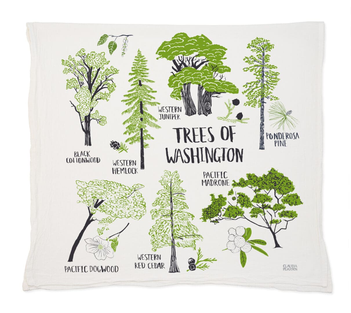 Illustration of various tree species native to Washington state.