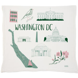 A cloth featuring iconic Washington DC landmarks in pastel colors.