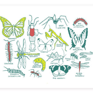 Illustrations of various insects and butterflies with scientific labels.