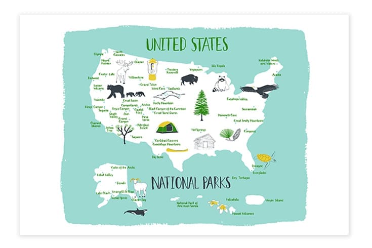 Map of the United States showing national birds for each state with illustrations.