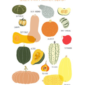 Various colorful squash and pumpkins labeled with their names.